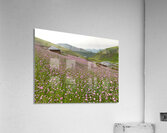 Valley of Blossoms Acrylic Print