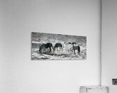 Horses Impression acrylique