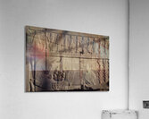 Persepolis Lion & Bull Acrylic Print