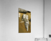 Shape of Time Acrylic Print