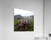 Whispers of the Highlands Acrylic Print