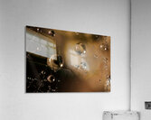 Gravity’s Whisper Acrylic Print