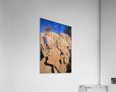 Roots of the Sky Acrylic Print