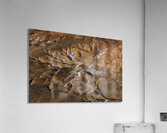 Veins of the Earth Acrylic Print