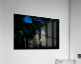 Whispers of Light  Impression acrylique