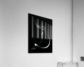 EMBRACE OF LIGHT B Acrylic Print