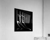 Harmony of Souls Impression acrylique