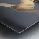 Dance of the Heron Metal print