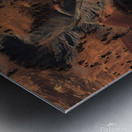 Rivers of Time Metal print