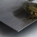 The Roar of Nature Metal print