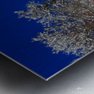  Silent White Metal print