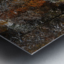 Autumn Behind the Snow Metal print