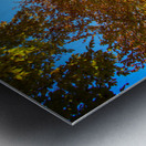 Autumn in Blue’s Embrace Metal print