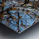 Autumn’s Last Breath Metal print