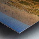 Circle of Life Metal print