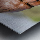 Lines of Strength Metal print