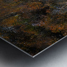 Frozen Autumn Metal print