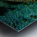 Living Stone Metal print