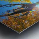 Dance of Light and Leaves Impression metal