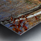 Echoes of Leaves Metal print