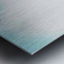 Feathered Jewel Metal print