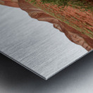 Roots of Fire Metal print