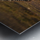 Stripes of Life Metal print