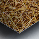 Silent Nest Metal print