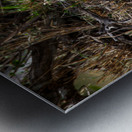 Silent Hunter Metal print