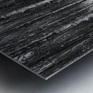 Silent Woods Impression metal