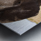 Timeless Strength Metal print