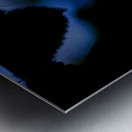 Silent Connection Metal print