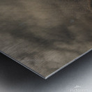 The Lonely Tree Metal print