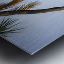 Silent Dominion Impression metal