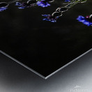 Night Dance Metal print