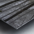 Whispers of the Fog Metal print