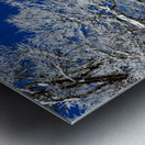 Winter’s Embrace Metal print