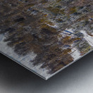 Silent Cabins Metal print