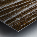 Song of Verticals Metal print