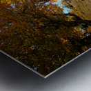 Nature’s Invitation Metal print