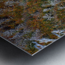 Poetry of Seasons Metal print