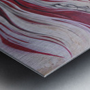 Wings of Fire Metal print