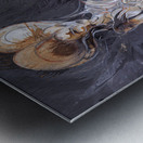 Heart of Shadows Metal print