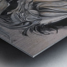 Rider of Storms Metal print