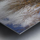 Autumn Silence  Metal print