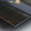 White Egret Metal print