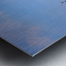 Flight of Freedom Metal print