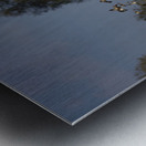 Whispers of the Marsh Metal print