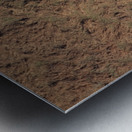 Solitary Shadow Metal print