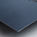 Wings Over the Wetland Metal print